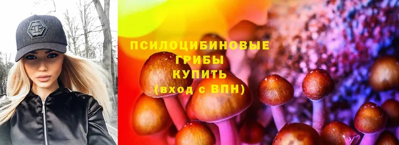 Галлюциногенные грибы Psilocybine cubensis  где продают   Жуковка 